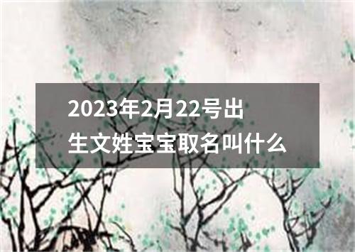 2023年2月22号出生文姓宝宝取名叫什么