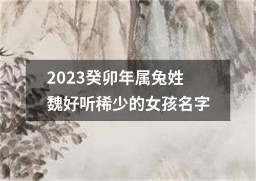 2023癸卯年属兔姓魏好听稀少的女孩名字