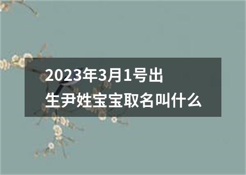 2023年3月1号出生尹姓宝宝取名叫什么