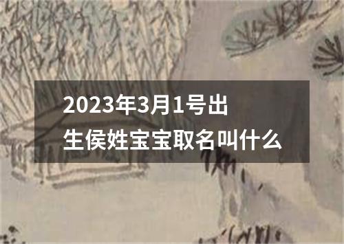 2023年3月1号出生侯姓宝宝取名叫什么