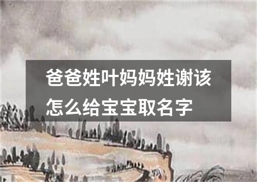 爸爸姓叶妈妈姓谢该怎么给宝宝取名字