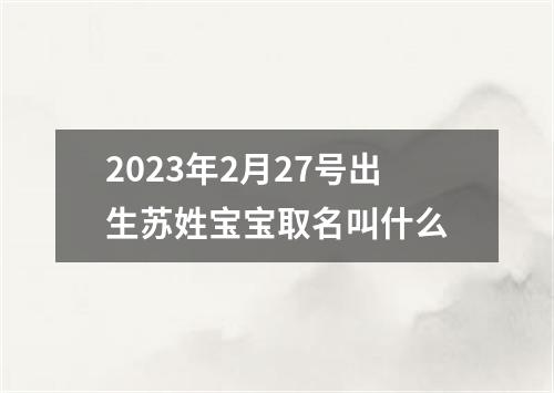 2023年2月27号出生苏姓宝宝取名叫什么