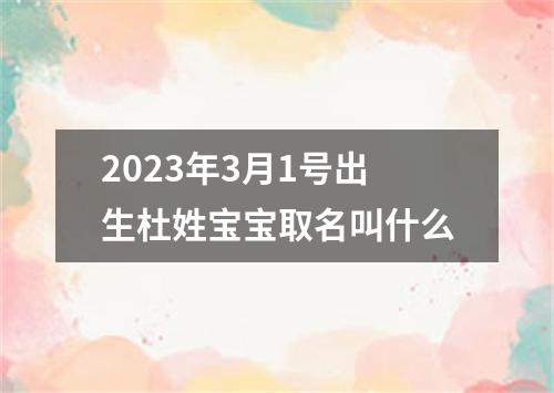 2023年3月1号出生杜姓宝宝取名叫什么