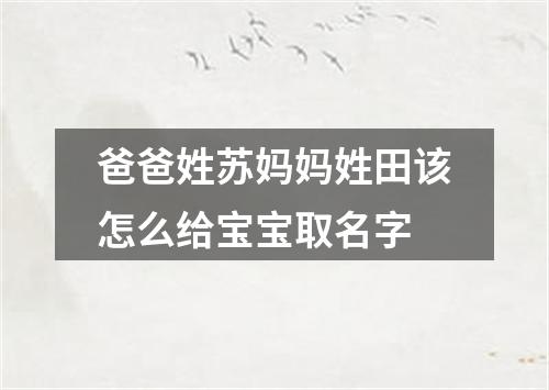 爸爸姓苏妈妈姓田该怎么给宝宝取名字