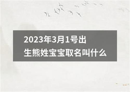 2023年3月1号出生熊姓宝宝取名叫什么