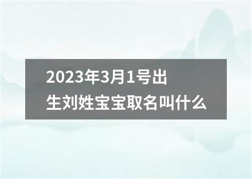 2023年3月1号出生刘姓宝宝取名叫什么