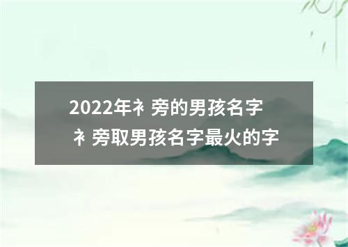 2022年衤旁的男孩名字 衤旁取男孩名字最火的字