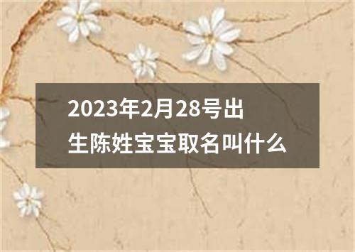 2023年2月28号出生陈姓宝宝取名叫什么