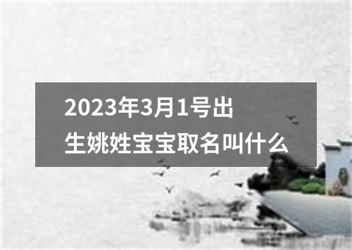 2023年3月1号出生姚姓宝宝取名叫什么