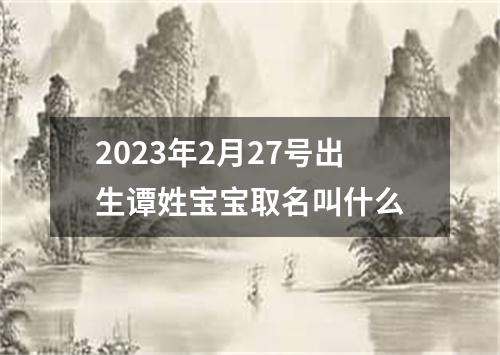 2023年2月27号出生谭姓宝宝取名叫什么