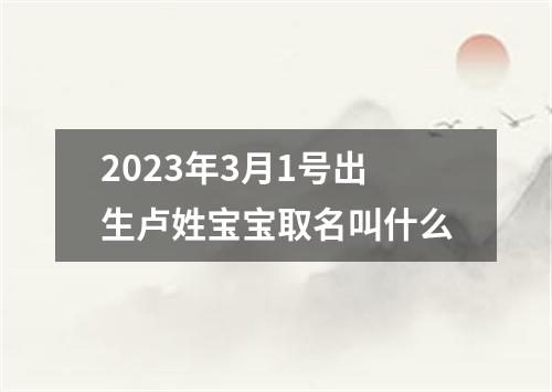 2023年3月1号出生卢姓宝宝取名叫什么