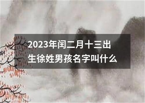 2023年闰二月十三出生徐姓男孩名字叫什么