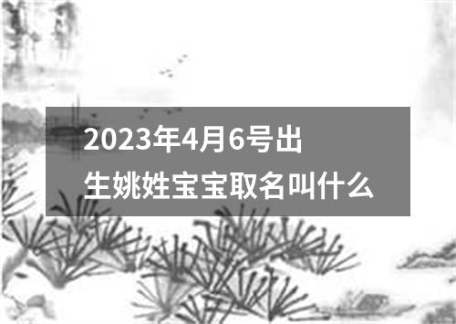 2023年4月6号出生姚姓宝宝取名叫什么