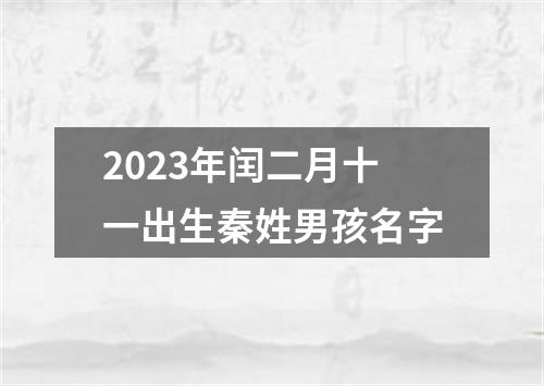 2023年闰二月十一出生秦姓男孩名字
