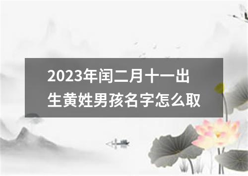 2023年闰二月十一出生黄姓男孩名字怎么取