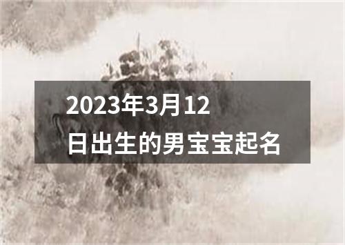 2023年3月12日出生的男宝宝起名