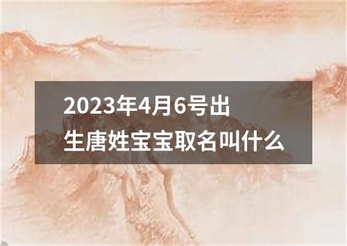 2023年4月6号出生唐姓宝宝取名叫什么