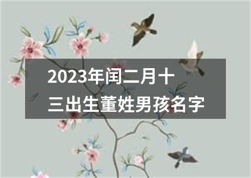 2023年闰二月十三出生董姓男孩名字
