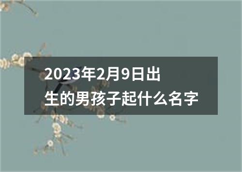 2023年2月9日出生的男孩子起什么名字