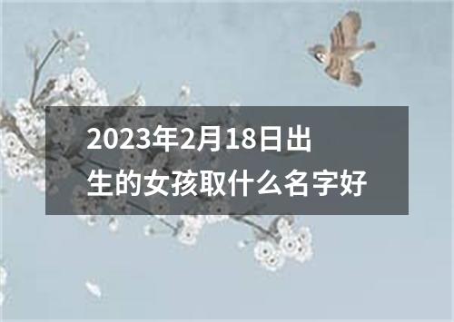 2023年2月18日出生的女孩取什么名字好