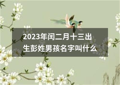 2023年闰二月十三出生彭姓男孩名字叫什么