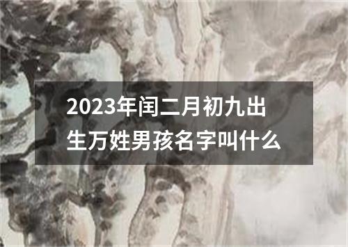 2023年闰二月初九出生万姓男孩名字叫什么