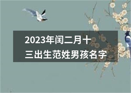 2023年闰二月十三出生范姓男孩名字