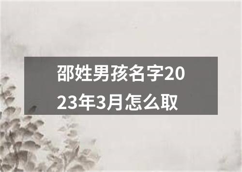 邵姓男孩名字2023年3月怎么取