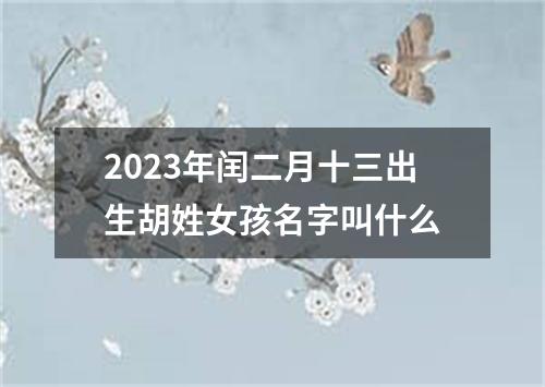 2023年闰二月十三出生胡姓女孩名字叫什么