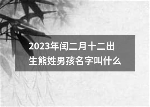 2023年闰二月十二出生熊姓男孩名字叫什么
