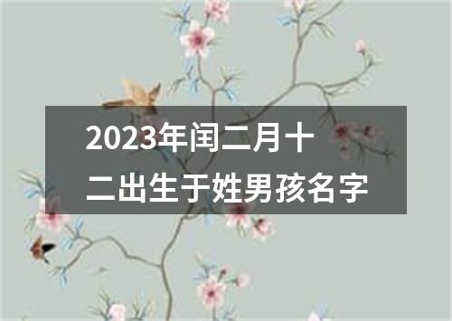 2023年闰二月十二出生于姓男孩名字