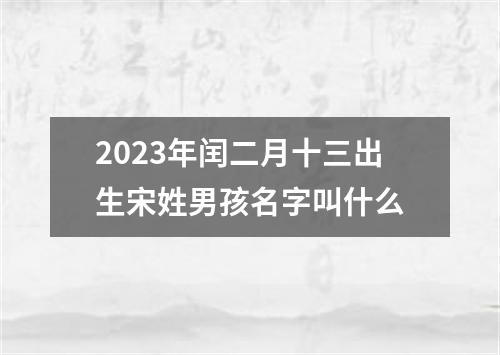 2023年闰二月十三出生宋姓男孩名字叫什么