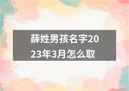薛姓男孩名字2023年3月怎么取