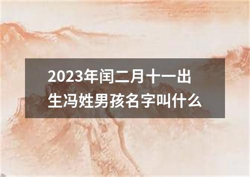 2023年闰二月十一出生冯姓男孩名字叫什么