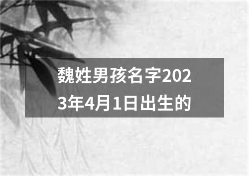魏姓男孩名字2023年4月1日出生的