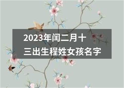 2023年闰二月十三出生程姓女孩名字