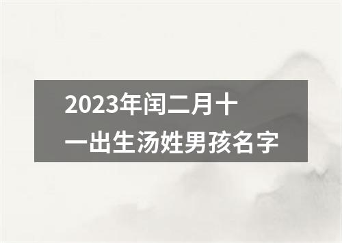 2023年闰二月十一出生汤姓男孩名字