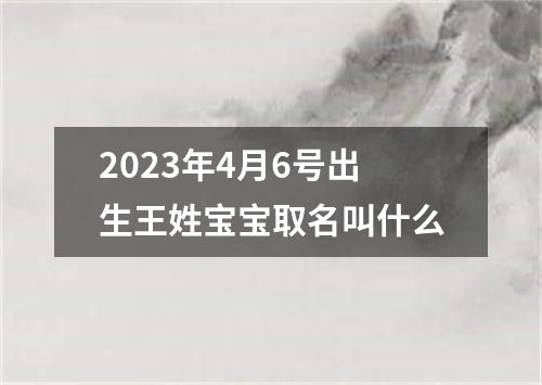 2023年4月6号出生王姓宝宝取名叫什么