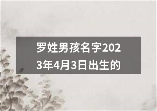 罗姓男孩名字2023年4月3日出生的