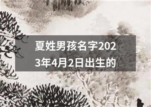 夏姓男孩名字2023年4月2日出生的