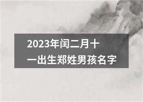 2023年闰二月十一出生郑姓男孩名字