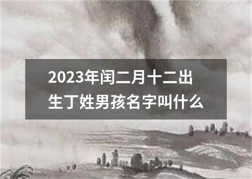 2023年闰二月十二出生丁姓男孩名字叫什么