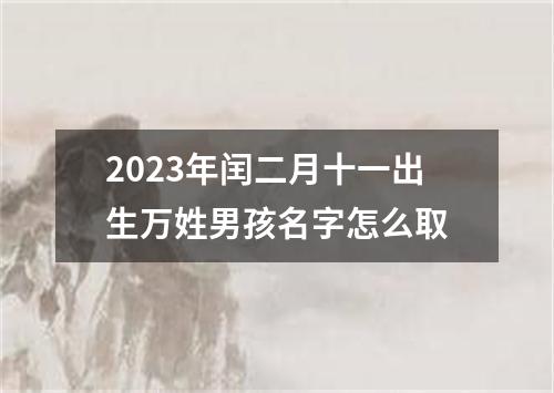 2023年闰二月十一出生万姓男孩名字怎么取