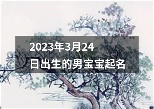 2023年3月24日出生的男宝宝起名