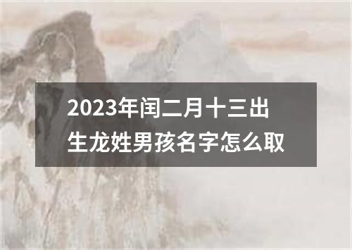 2023年闰二月十三出生龙姓男孩名字怎么取