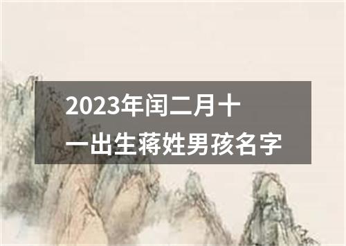 2023年闰二月十一出生蒋姓男孩名字