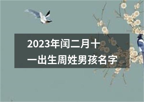 2023年闰二月十一出生周姓男孩名字