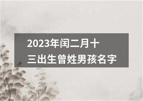 2023年闰二月十三出生曾姓男孩名字
