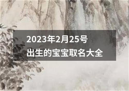 2023年2月25号出生的宝宝取名大全