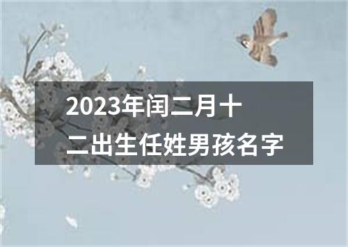 2023年闰二月十二出生任姓男孩名字